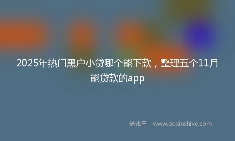 2025年热门黑户小贷哪个能下款，整理五个11月能贷款的app