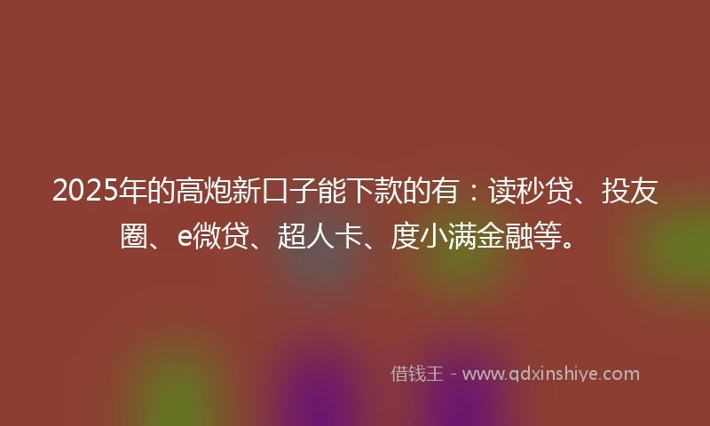 2025年的高炮新口子能下款的有：读秒贷、投友圈、e微贷、超人卡、度小满金融等。