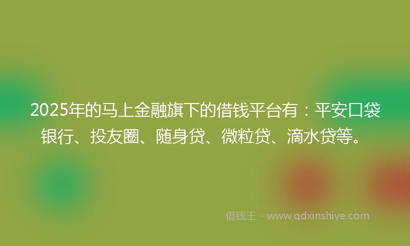 2025年的马上金融旗下的借钱平台有：平安口袋银行、投友圈、随身贷、微粒贷、滴水贷等。