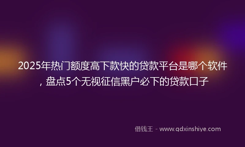 2025年热门额度高下款快的贷款平台是哪个软件，盘点5个无视征信黑户必下的贷款口子