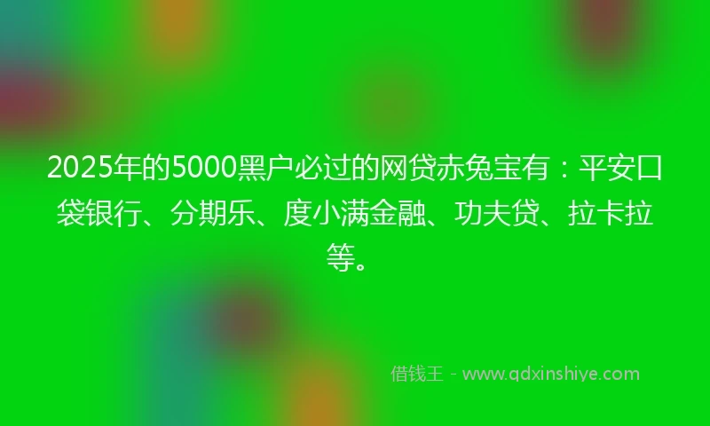 2025年的5000黑户必过的网贷赤兔宝有：平安口袋银行、分期乐、度小满金融、功夫贷、拉卡拉等。