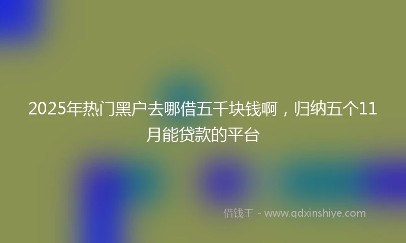 2025年热门黑户去哪借五千块钱啊，归纳五个11月能贷款的平台