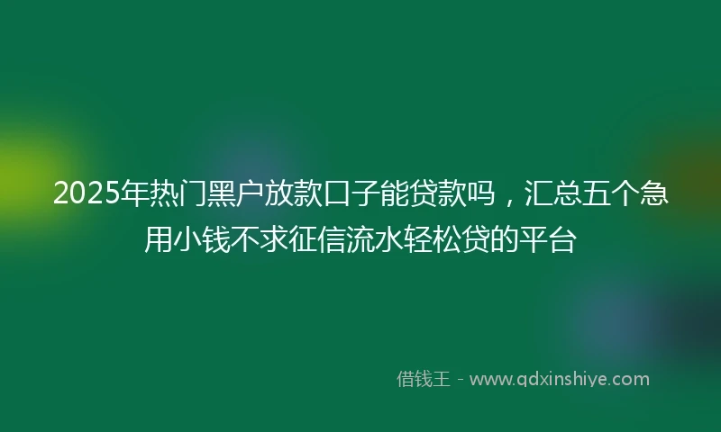 2025年热门黑户放款口子能贷款吗，汇总五个急用小钱不求征信流水轻松贷的平台