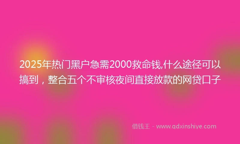 2025年热门黑户急需2000救命钱,什么途径可以搞到，整合五个不审核夜间直接放款的网贷口子