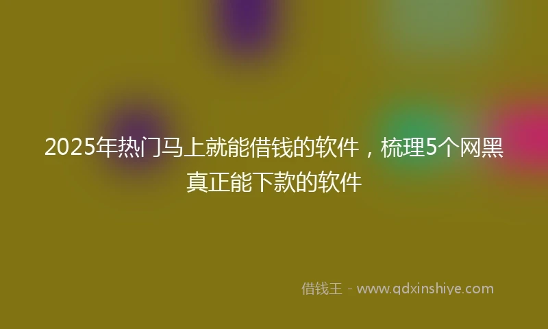 2025年热门马上就能借钱的软件，梳理5个网黑真正能下款的软件