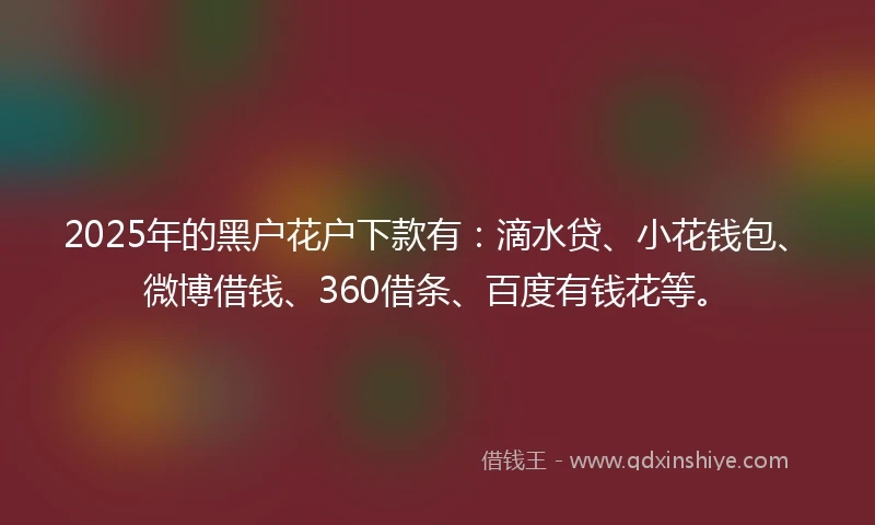 2025年的黑户花户下款有：滴水贷、小花钱包、微博借钱、360借条、百度有钱花等。