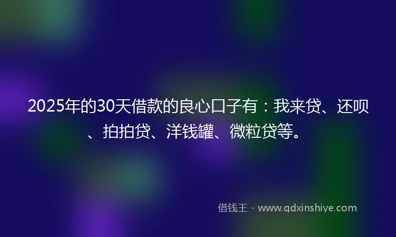 2025年的30天借款的良心口子有：我来贷、还呗、拍拍贷、洋钱罐、微粒贷等。