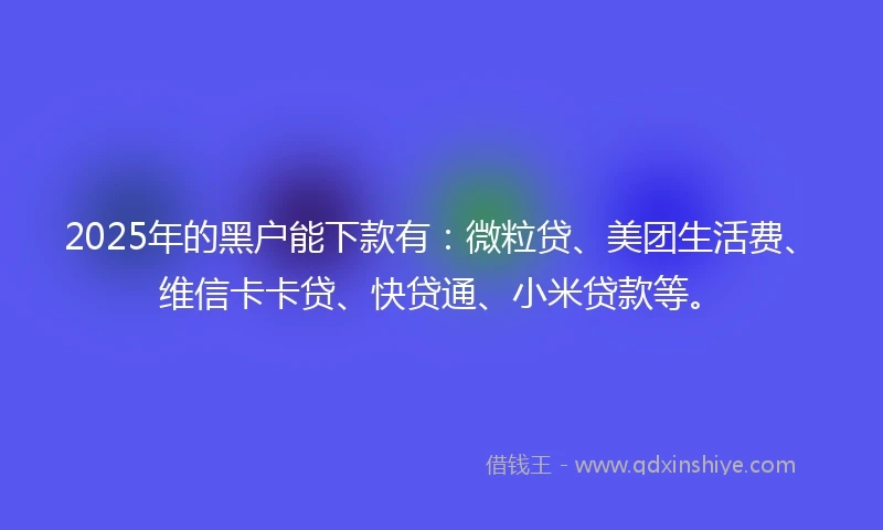 2025年的黑户能下款有：微粒贷、美团生活费、维信卡卡贷、快贷通、小米贷款等。