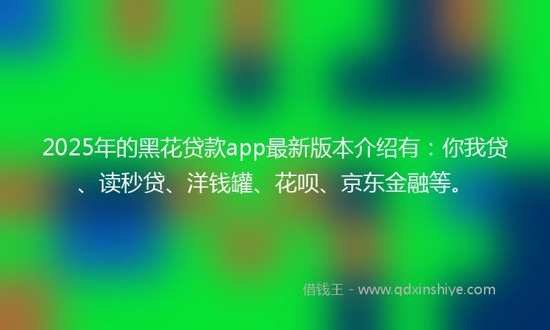 2025年的黑花贷款app最新版本介绍有：你我贷、读秒贷、洋钱罐、花呗、京东金融等。