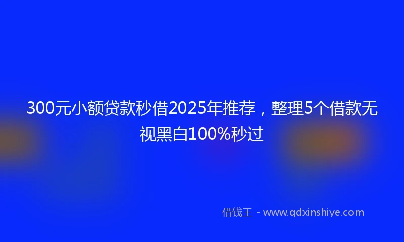 300元小额贷款秒借2025年推荐，整理5个借款无视黑白100%秒过