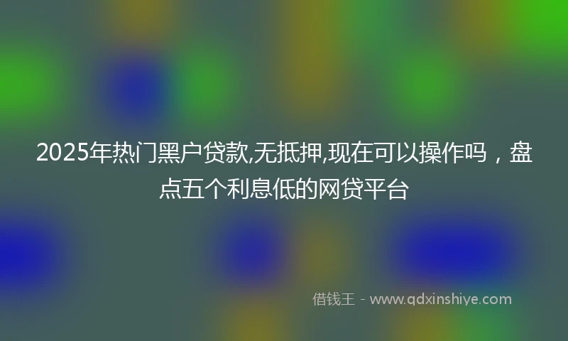 2025年热门黑户贷款,无抵押,现在可以操作吗，盘点五个利息低的网贷平台