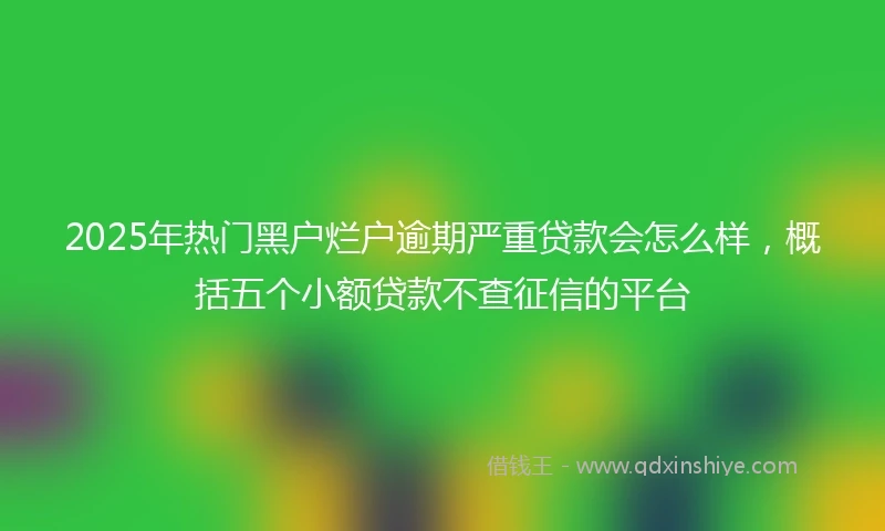 2025年热门黑户烂户逾期严重贷款会怎么样，概括五个小额贷款不查征信的平台