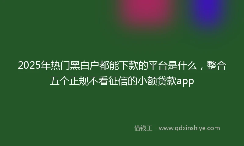 2025年热门黑白户都能下款的平台是什么，整合五个正规不看征信的小额贷款app