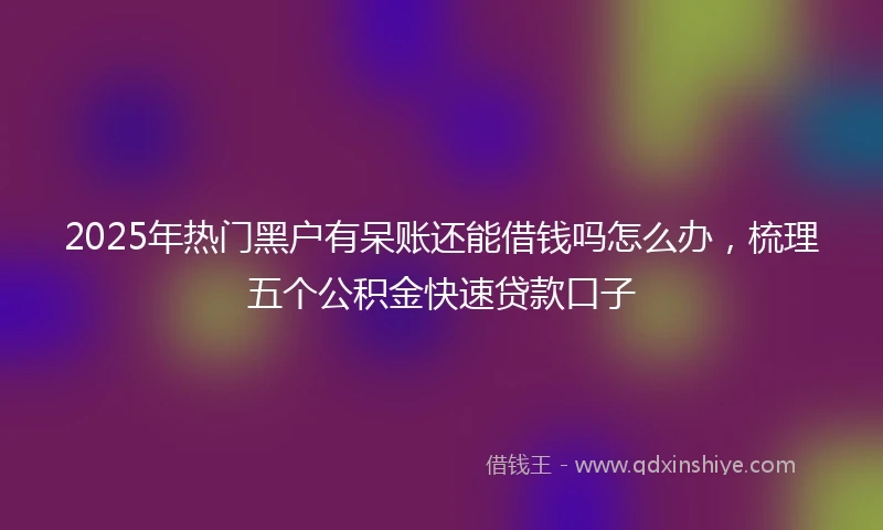 2025年热门黑户有呆账还能借钱吗怎么办，梳理五个公积金快速贷款口子