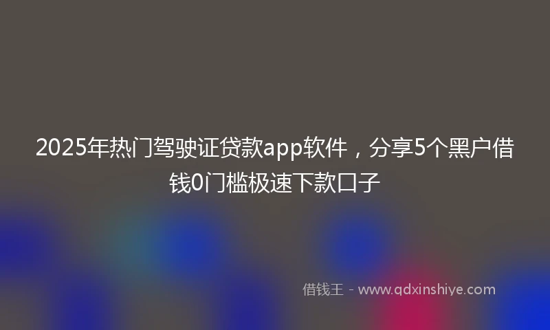 2025年热门驾驶证贷款app软件，分享5个黑户借钱0门槛极速下款口子