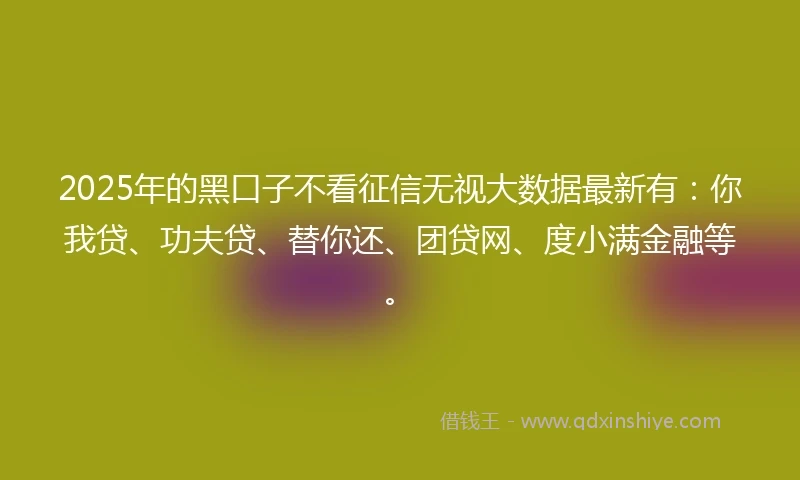 2025年的黑口子不看征信无视大数据最新有：你我贷、功夫贷、替你还、团贷网、度小满金融等。