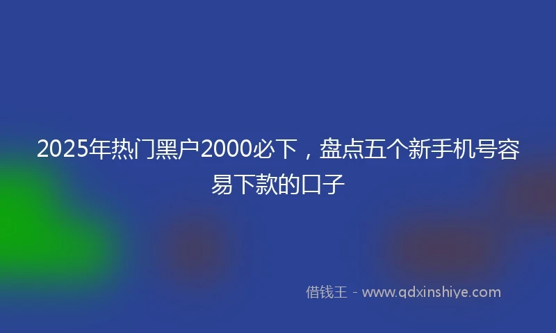 2025年热门黑户2000必下，盘点五个新手机号容易下款的口子