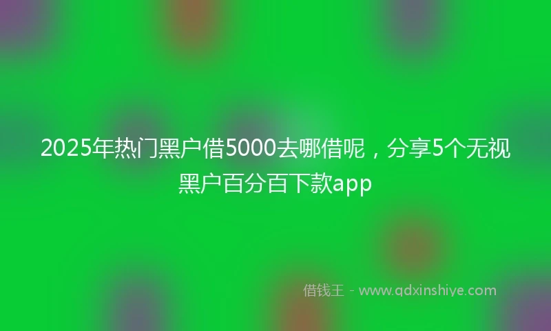 2025年热门黑户借5000去哪借呢，分享5个无视黑户百分百下款app