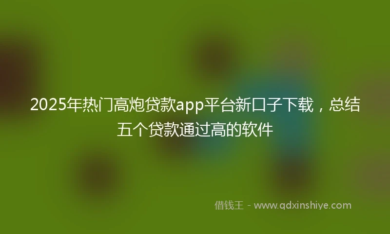 2025年热门高炮贷款app平台新口子下载，总结五个贷款通过高的软件