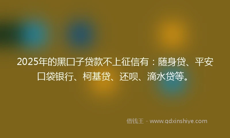 2025年的黑囗子贷款不上征信有：随身贷、平安口袋银行、柯基贷、还呗、滴水贷等。