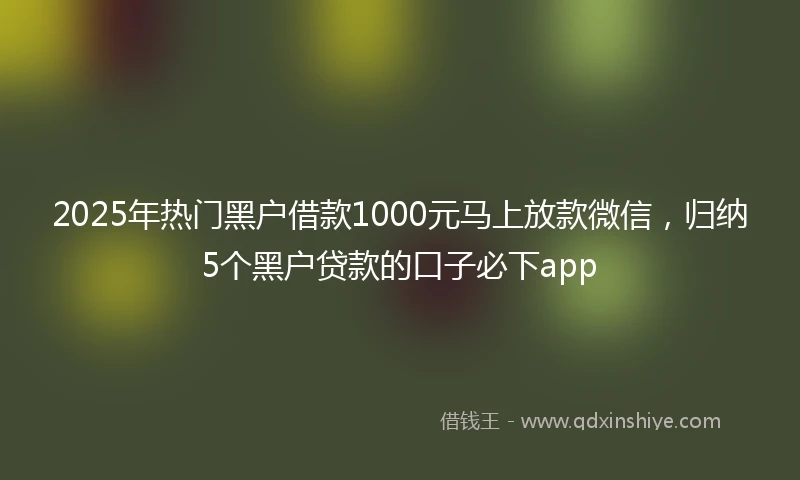 2025年热门黑户借款1000元马上放款微信，归纳5个黑户贷款的口子必下app