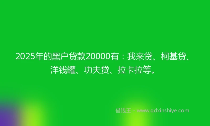 2025年的黑户贷款20000有：我来贷、柯基贷、洋钱罐、功夫贷、拉卡拉等。