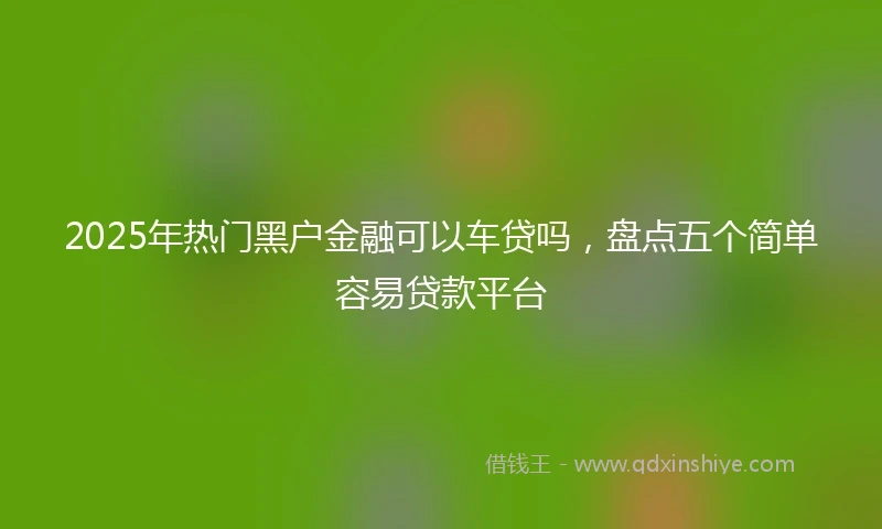 2025年热门黑户金融可以车贷吗，盘点五个简单容易贷款平台
