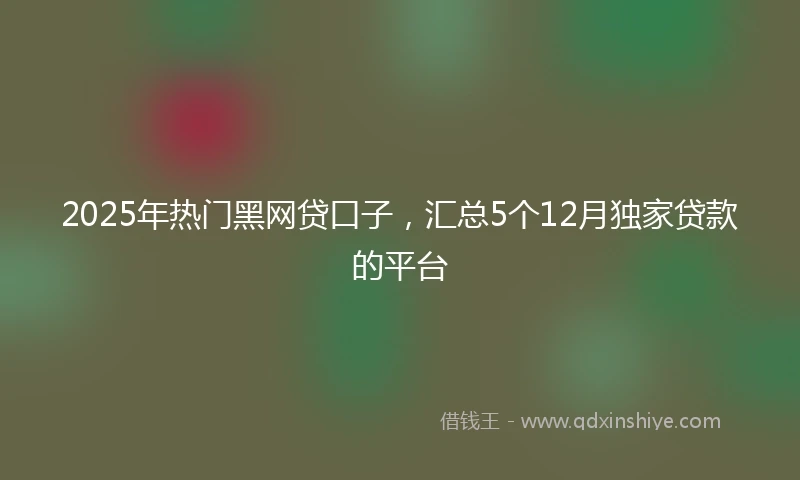 2025年热门黑网贷口子，汇总5个12月独家贷款的平台