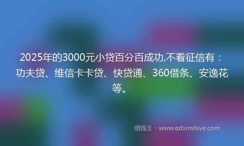 2025年的3000元小贷百分百成功,不看征信有：功夫贷、维信卡卡贷、快贷通、360借条、安逸花等。