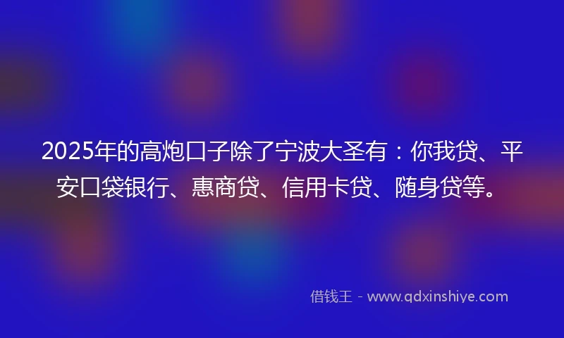 2025年的高炮口子除了宁波大圣有：你我贷、平安口袋银行、惠商贷、信用卡贷、随身贷等。