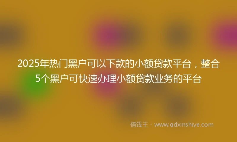 2025年热门黑户可以下款的小额贷款平台，整合5个黑户可快速办理小额贷款业务的平台