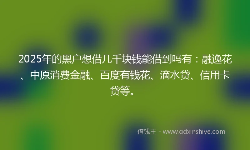 2025年的黑户想借几千块钱能借到吗有：融逸花、中原消费金融、百度有钱花、滴水贷、信用卡贷等。