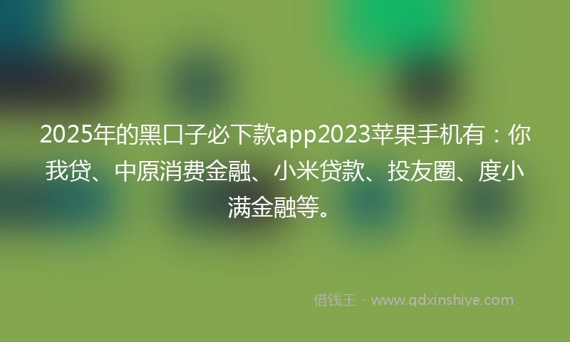 2025年的黑口子必下款app2023苹果手机有：你我贷、中原消费金融、小米贷款、投友圈、度小满金融等。