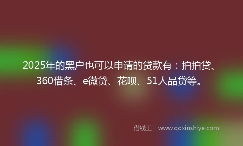 2025年的黑户也可以申请的贷款有：拍拍贷、360借条、e微贷、花呗、51人品贷等。