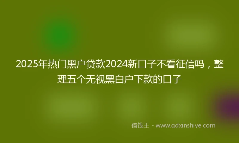2025年热门黑户贷款2024新口子不看征信吗，整理五个无视黑白户下款的口子