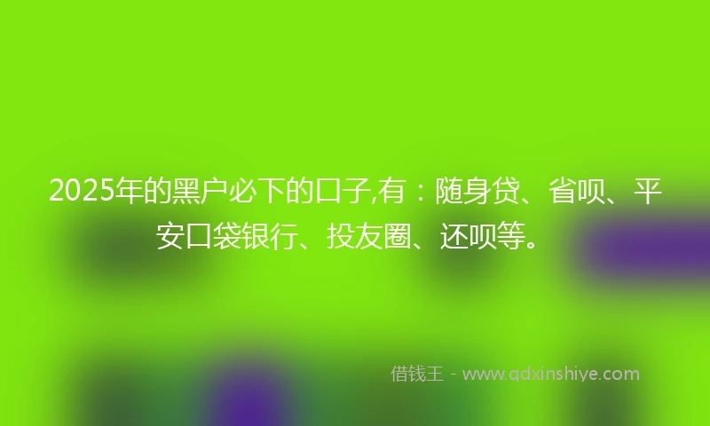 2025年的黑户必下的口子,有：随身贷、省呗、平安口袋银行、投友圈、还呗等。