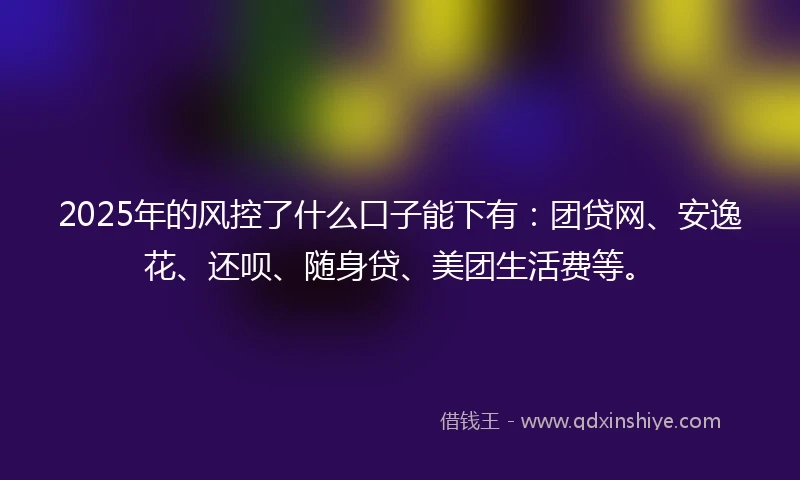 2025年的风控了什么口子能下有：团贷网、安逸花、还呗、随身贷、美团生活费等。