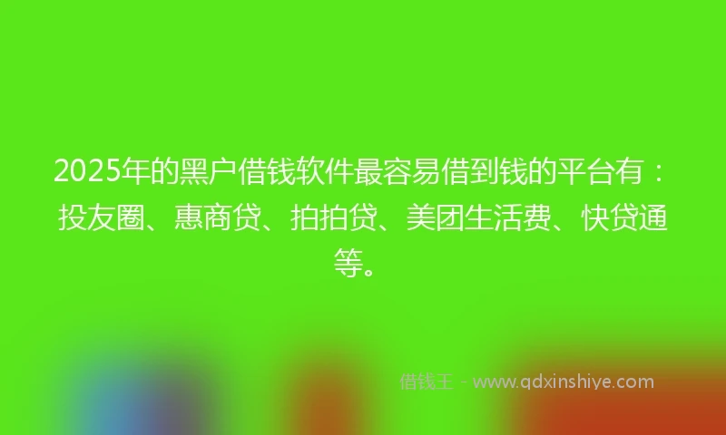 2025年的黑户借钱软件最容易借到钱的平台有：投友圈、惠商贷、拍拍贷、美团生活费、快贷通等。