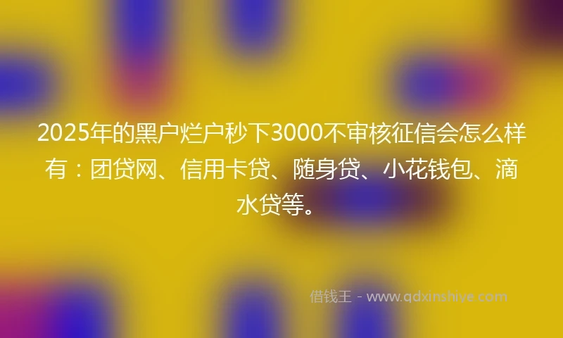 2025年的黑户烂户秒下3000不审核征信会怎么样有：团贷网、信用卡贷、随身贷、小花钱包、滴水贷等。