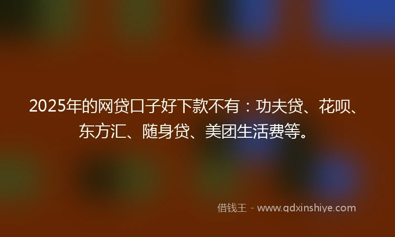 2025年的网贷口子好下款不有：功夫贷、花呗、东方汇、随身贷、美团生活费等。