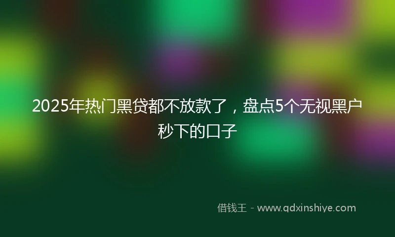 2025年热门黑贷都不放款了，盘点5个无视黑户秒下的口子