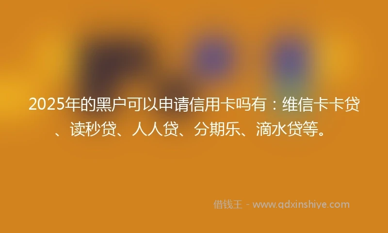 2025年的黑户可以申请信用卡吗有：维信卡卡贷、读秒贷、人人贷、分期乐、滴水贷等。