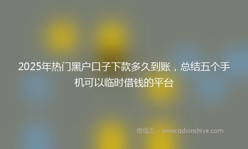 2025年热门黑户口子下款多久到账，总结五个手机可以临时借钱的平台