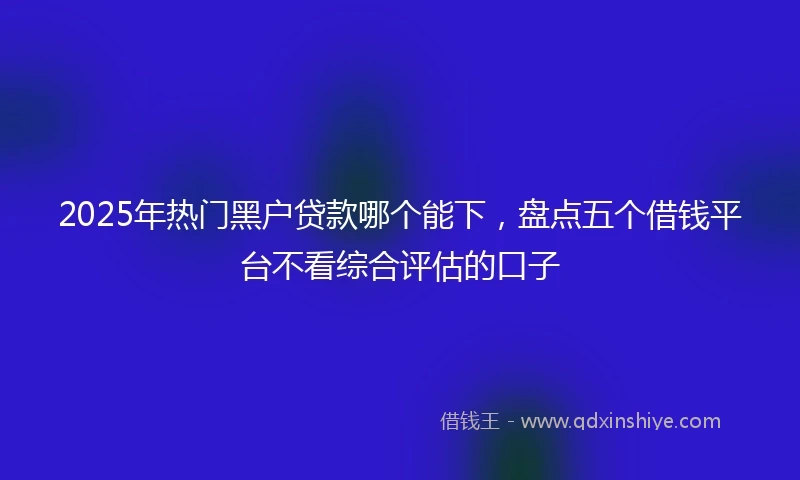 2025年热门黑户贷款哪个能下，盘点五个借钱平台不看综合评估的口子