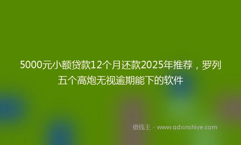 5000元小额贷款12个月还款2025年推荐，罗列五个高炮无视逾期能下的软件