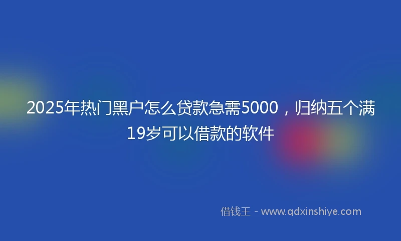 2025年热门黑户怎么贷款急需5000，归纳五个满19岁可以借款的软件