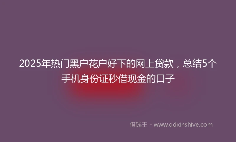 2025年热门黑户花户好下的网上贷款，总结5个手机身份证秒借现金的口子