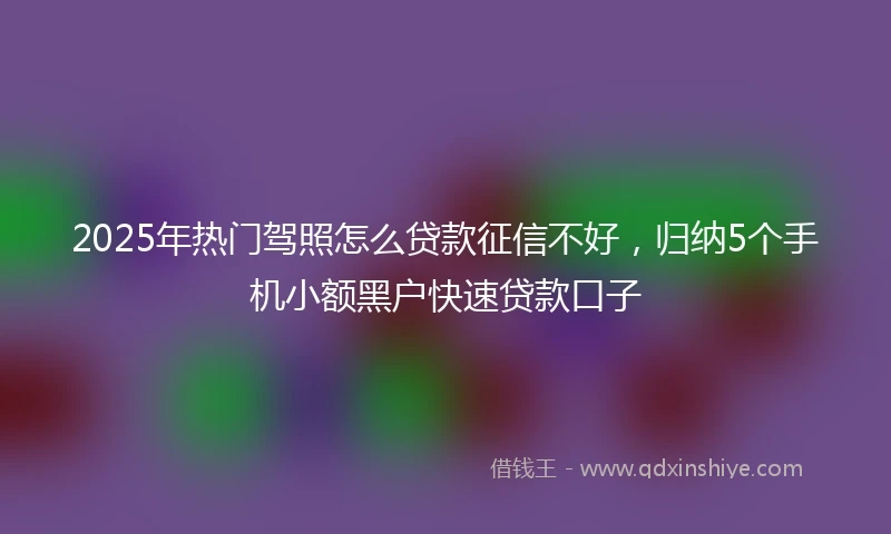 2025年热门驾照怎么贷款征信不好，归纳5个手机小额黑户快速贷款口子