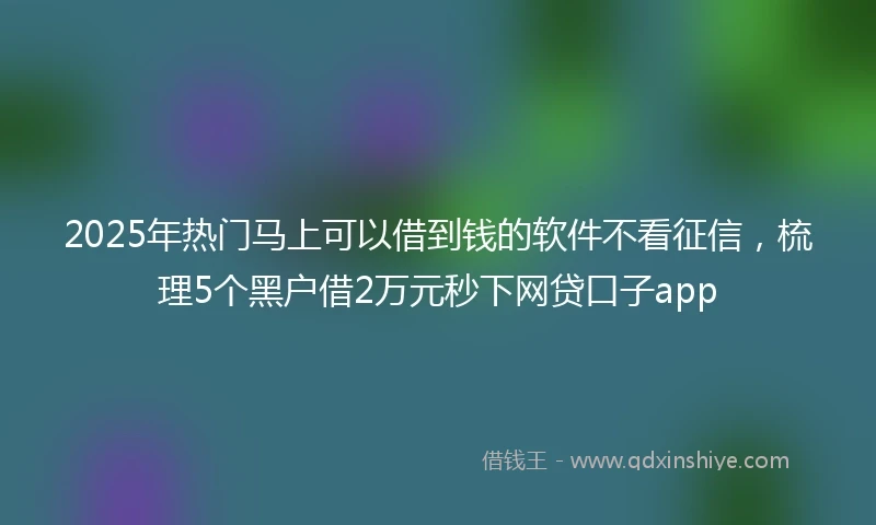 2025年热门马上可以借到钱的软件不看征信，梳理5个黑户借2万元秒下网贷口子app