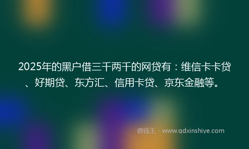 2025年的黑户借三千两千的网贷有：维信卡卡贷、好期贷、东方汇、信用卡贷、京东金融等。